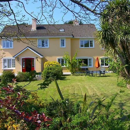 Ashe'S Accommodation Dingle Bagian luar foto