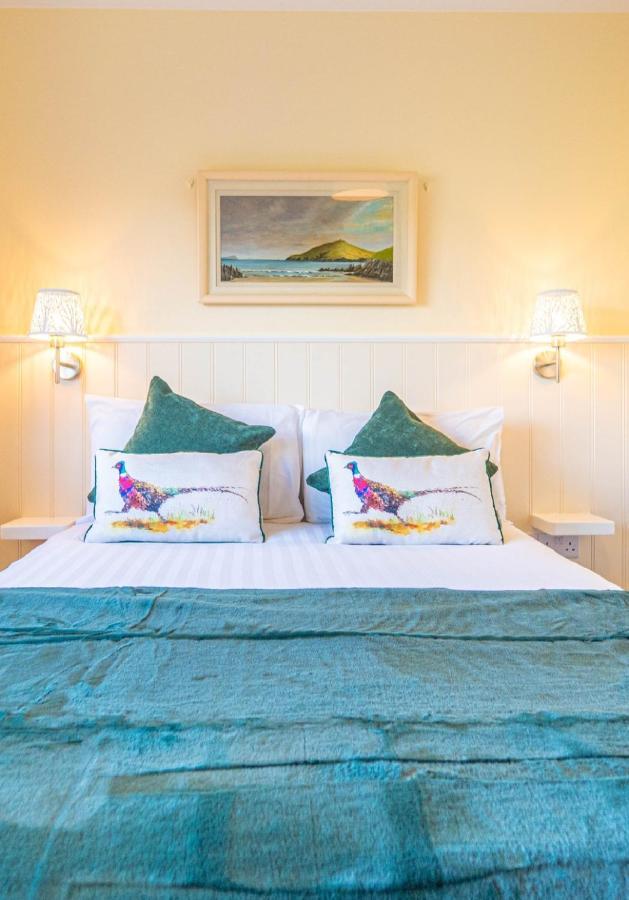 Ashe'S Accommodation Dingle Bagian luar foto