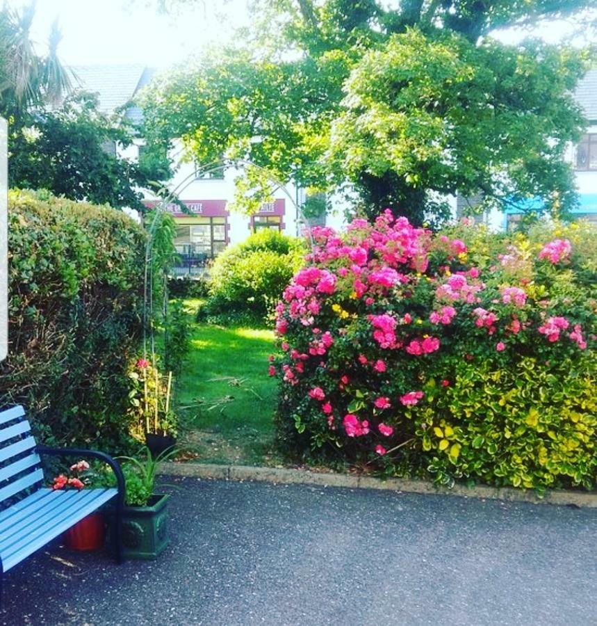 Ashe'S Accommodation Dingle Bagian luar foto